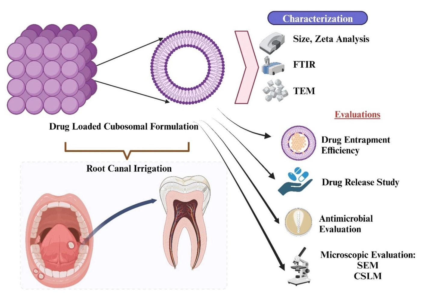 Graphical Abstract