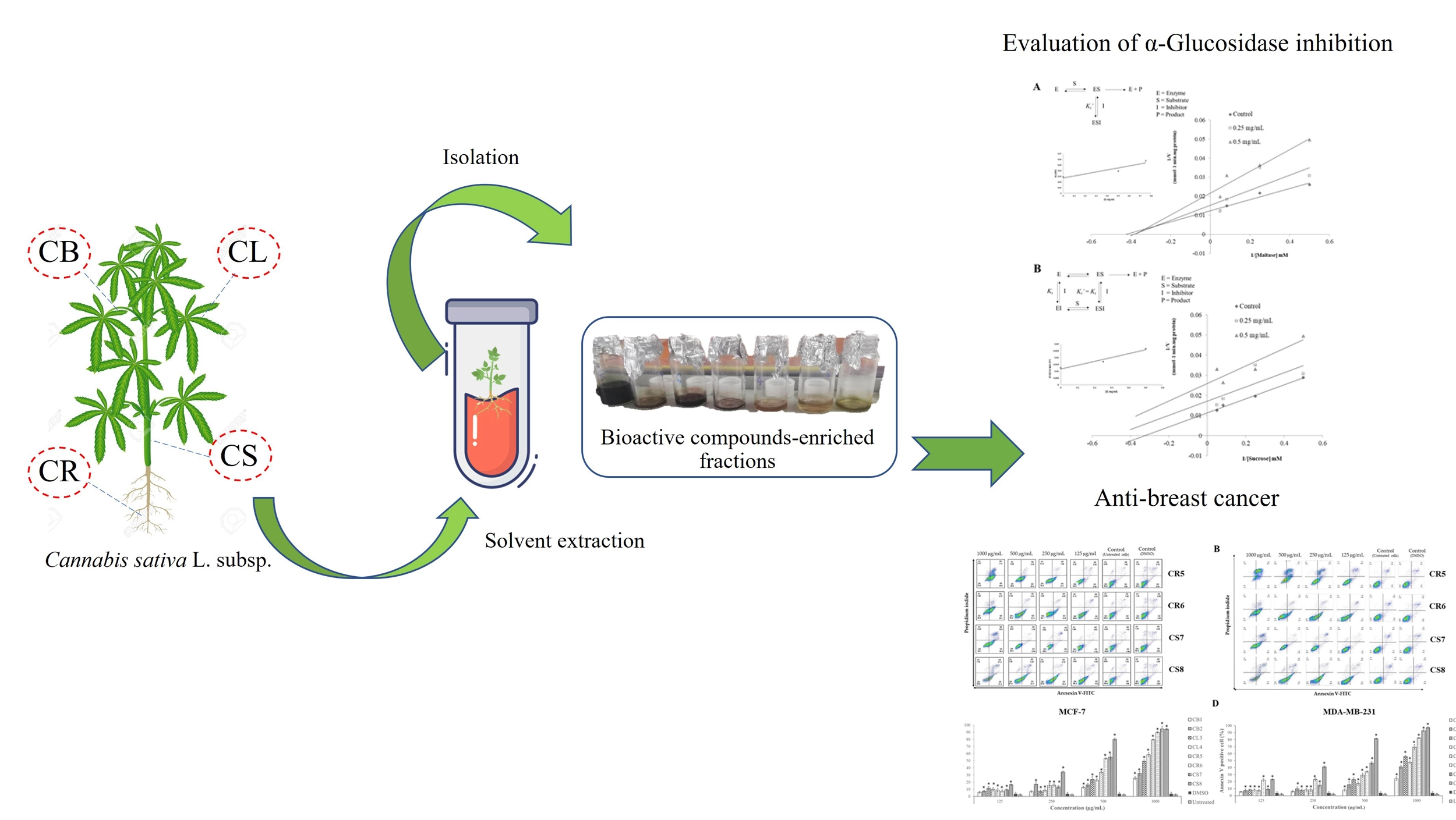 Graphical Abstract
