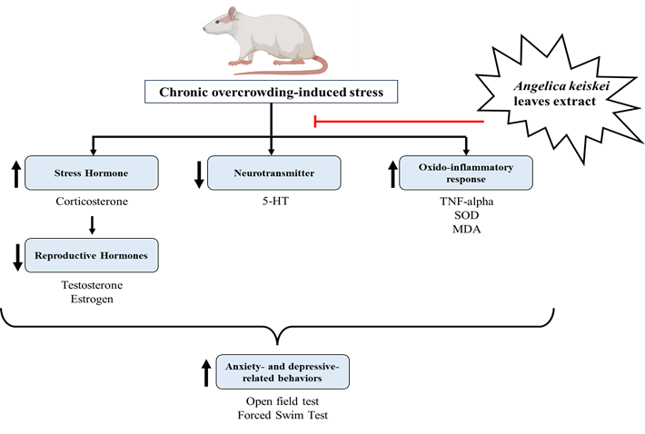 Graphical Abstract