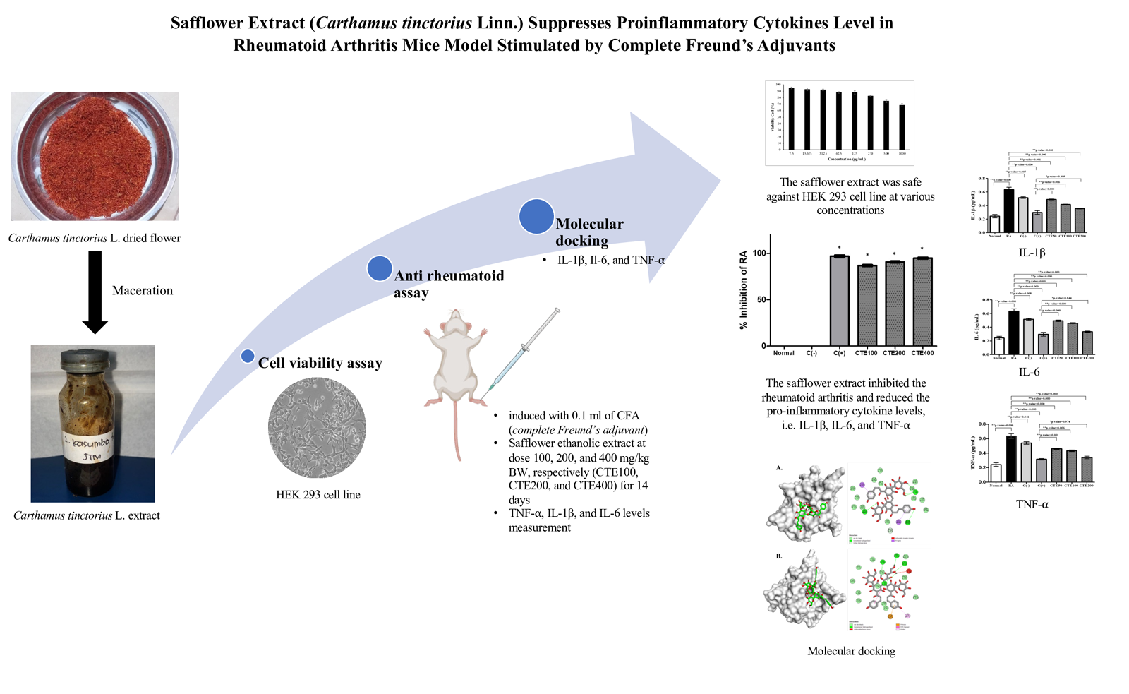 Graphical Abstract