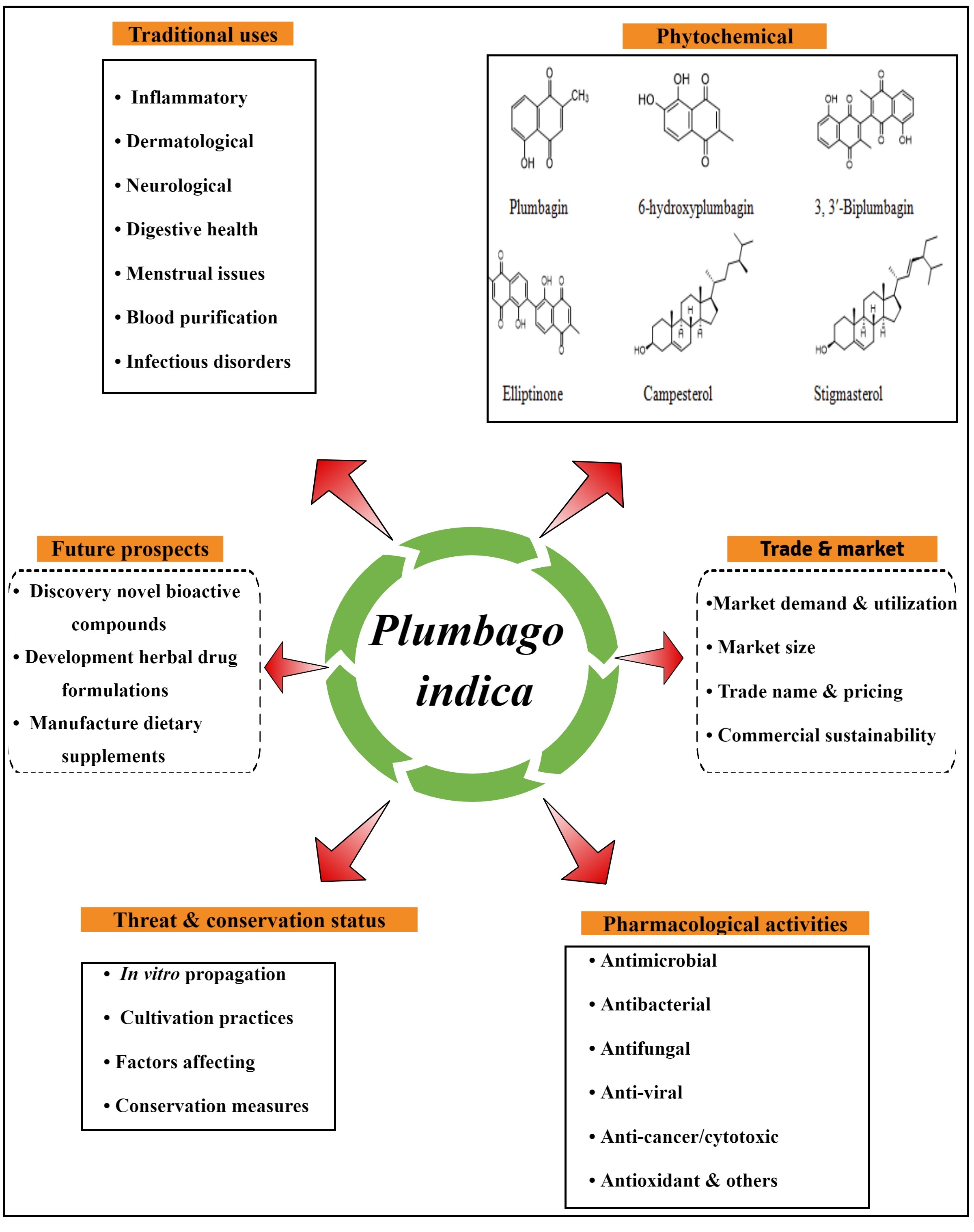 Graphical Abstract