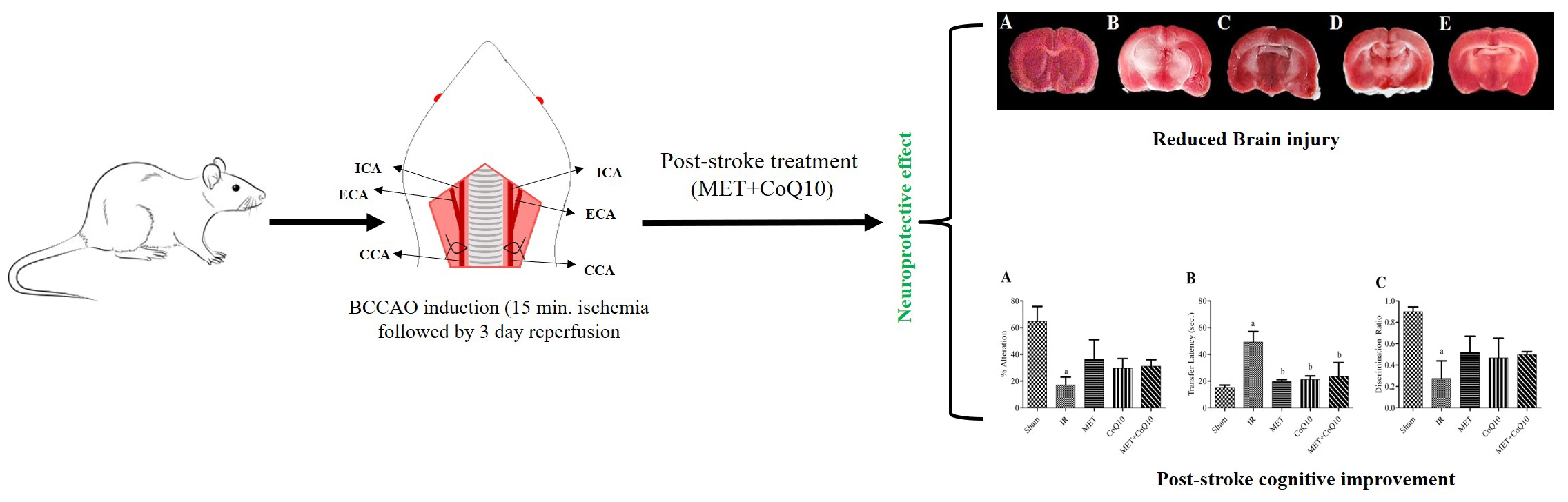 Graphical Abstract