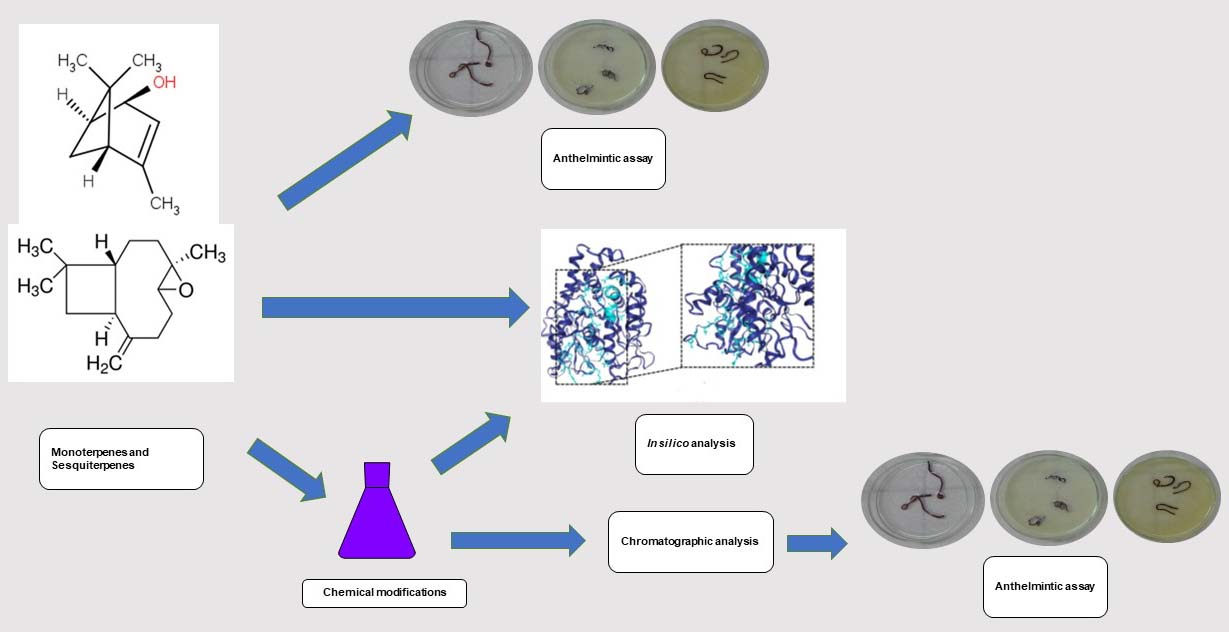 Graphical Abstract