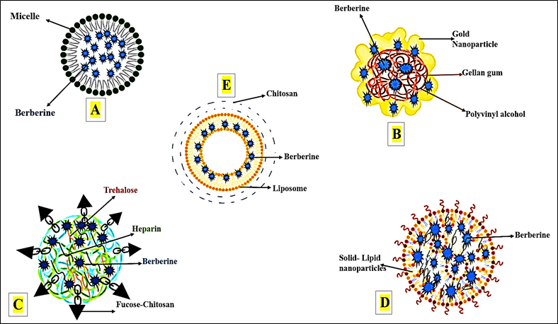 Graphical Abstract