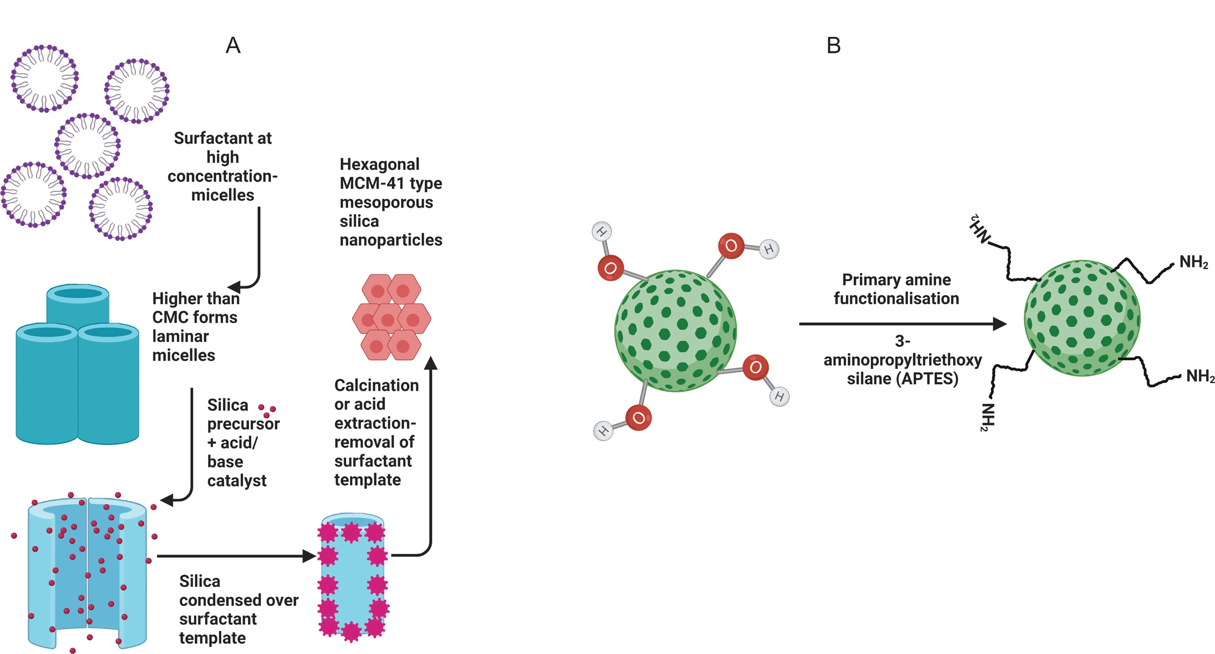 Graphical Abstract