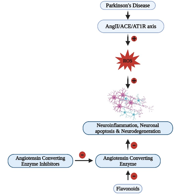 Graphical Abstract
