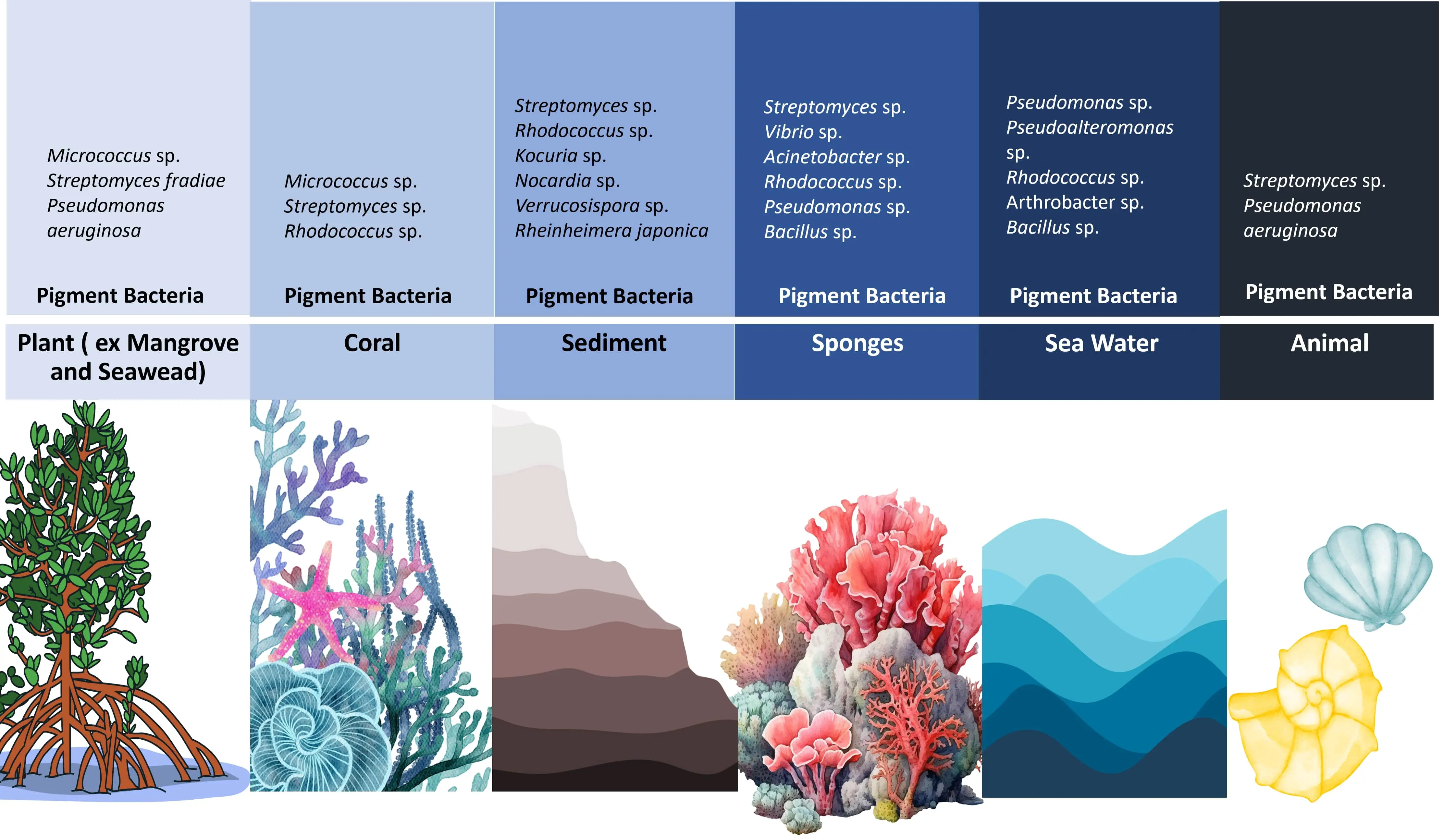 Graphical Abstract