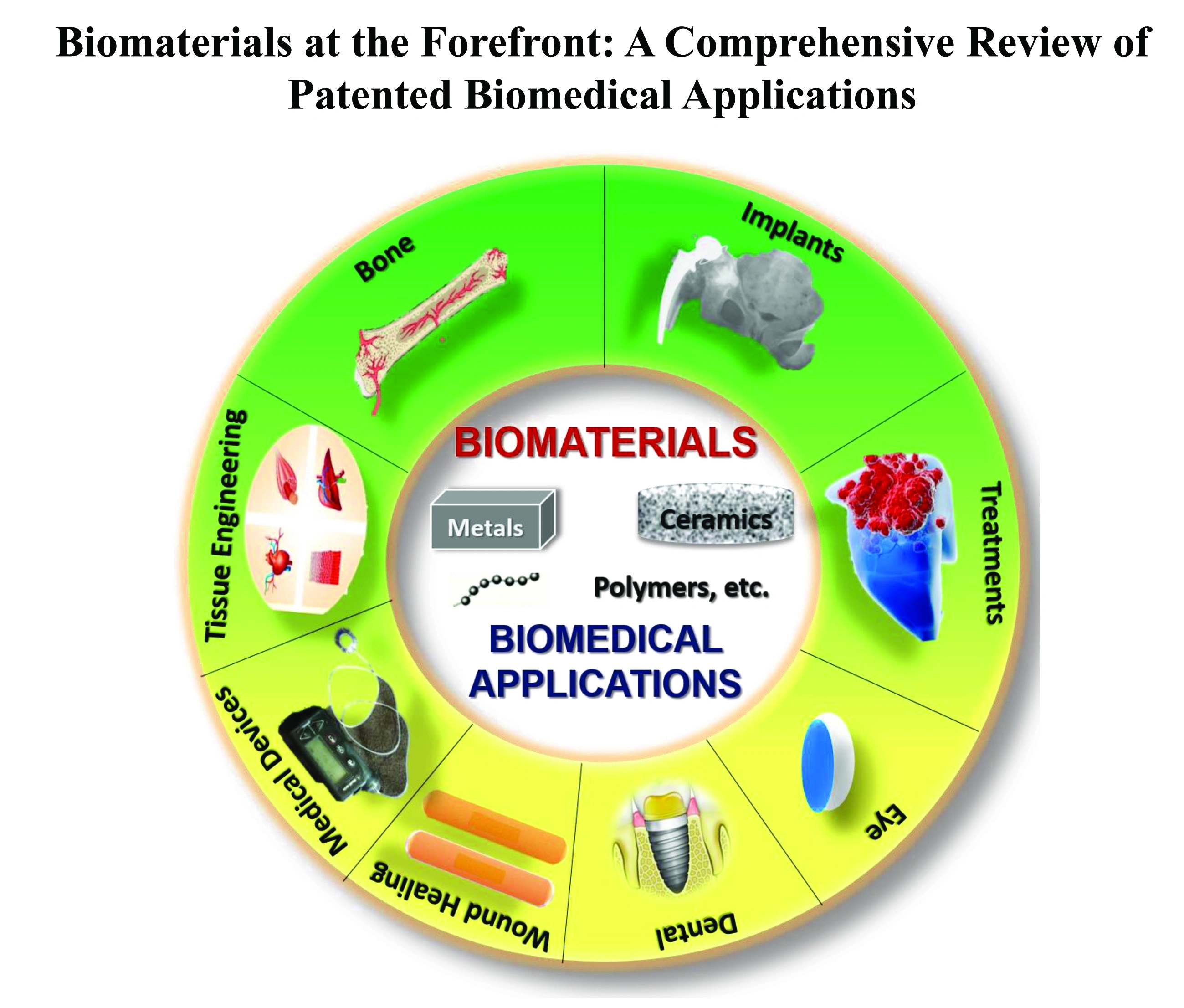 Graphical Abstract