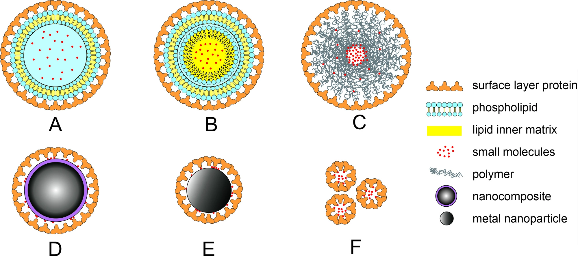 Graphical Abstract