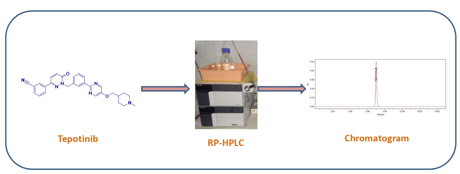 Graphical Abstract