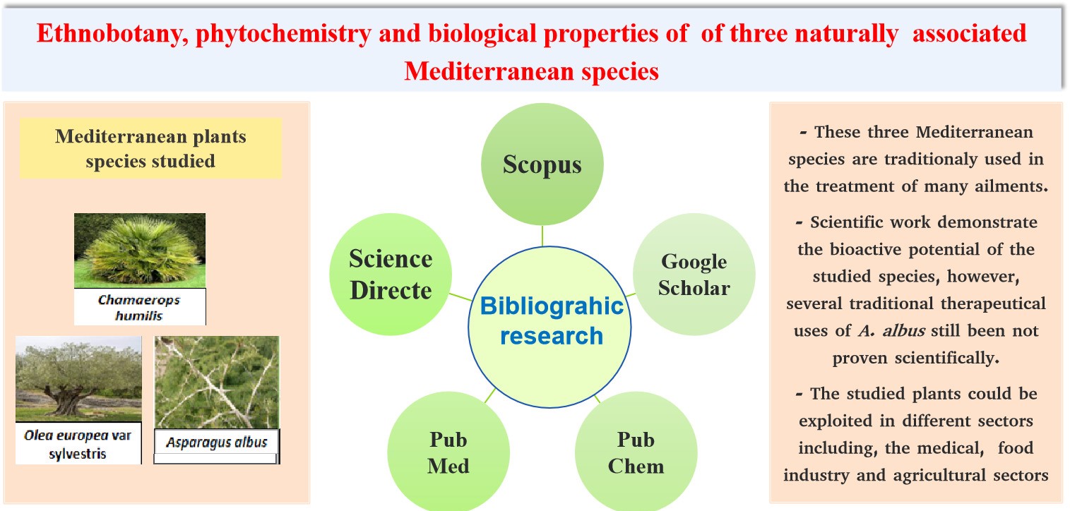 Graphical Abstract