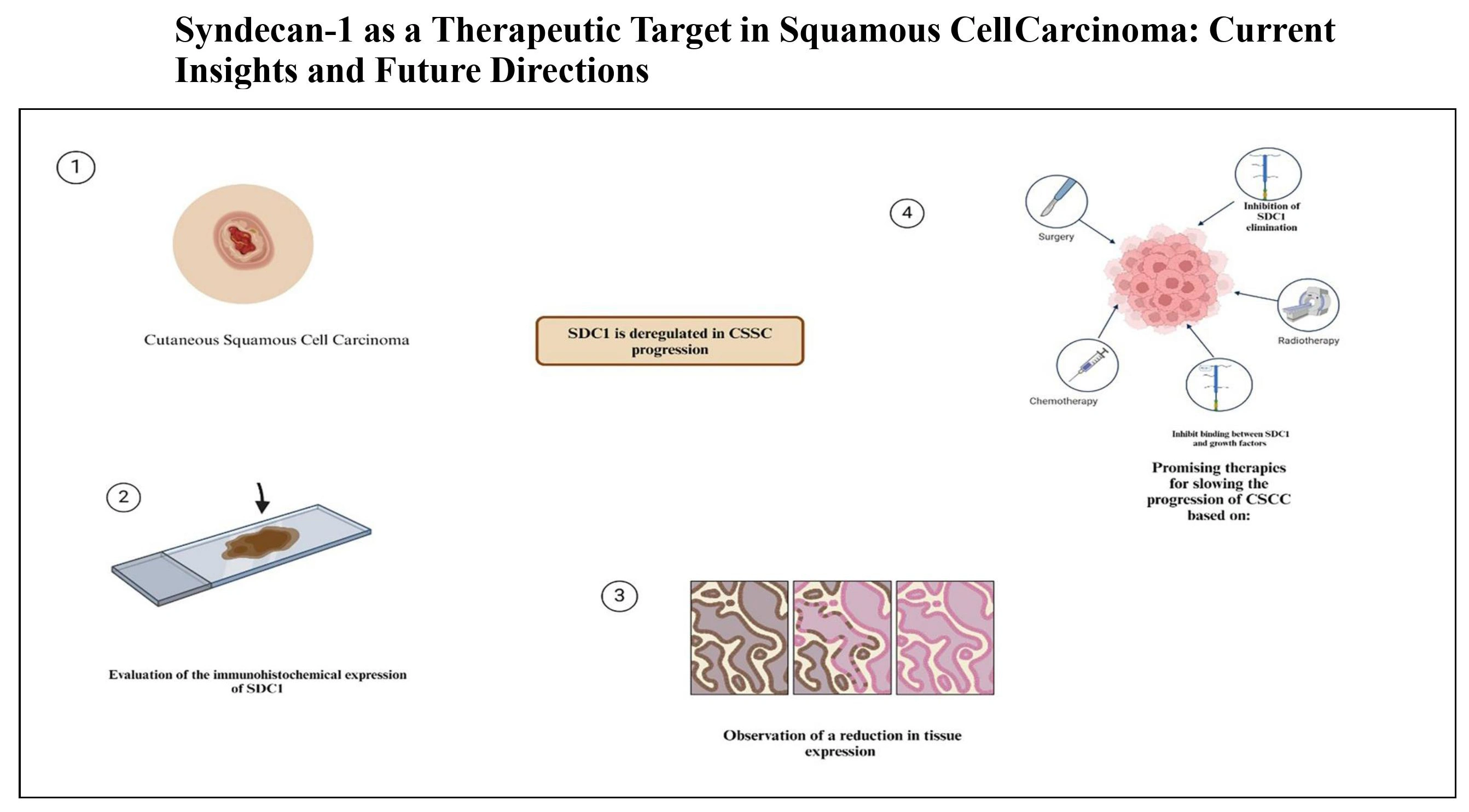 Graphical Abstract