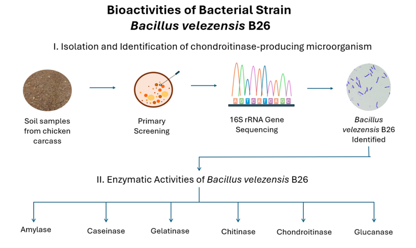 Graphical Abstract