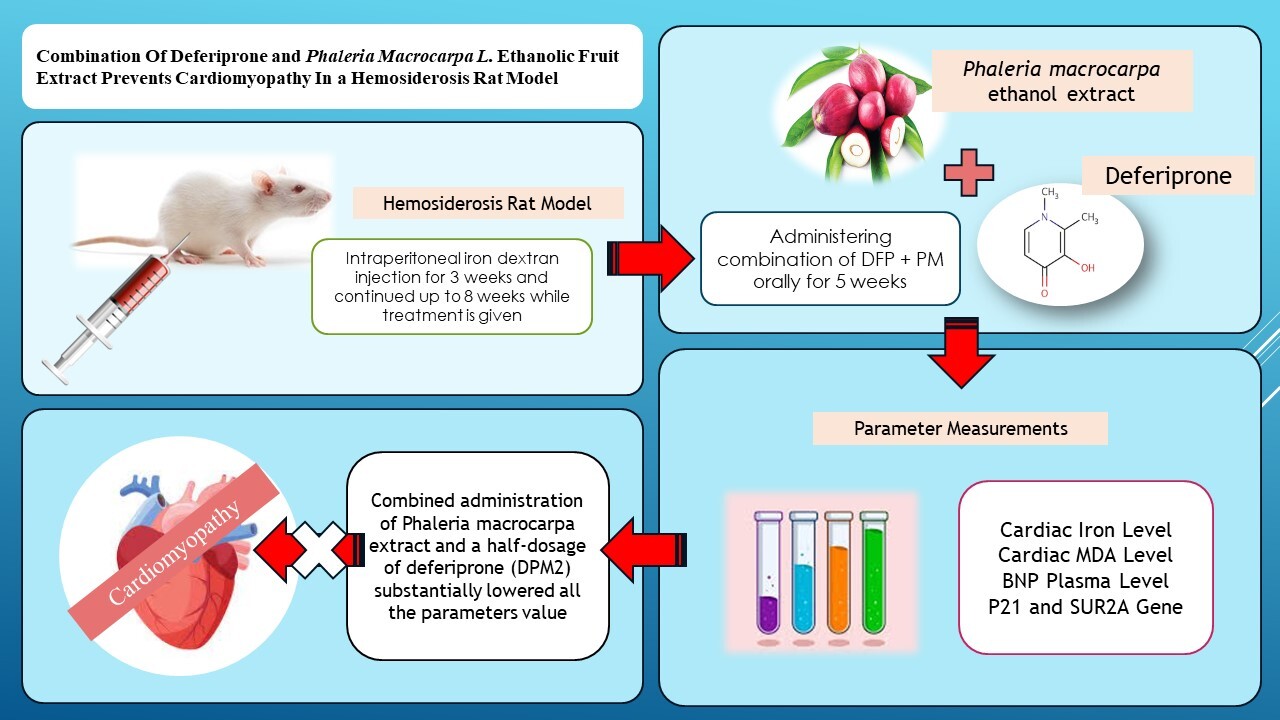 Graphical Abstract