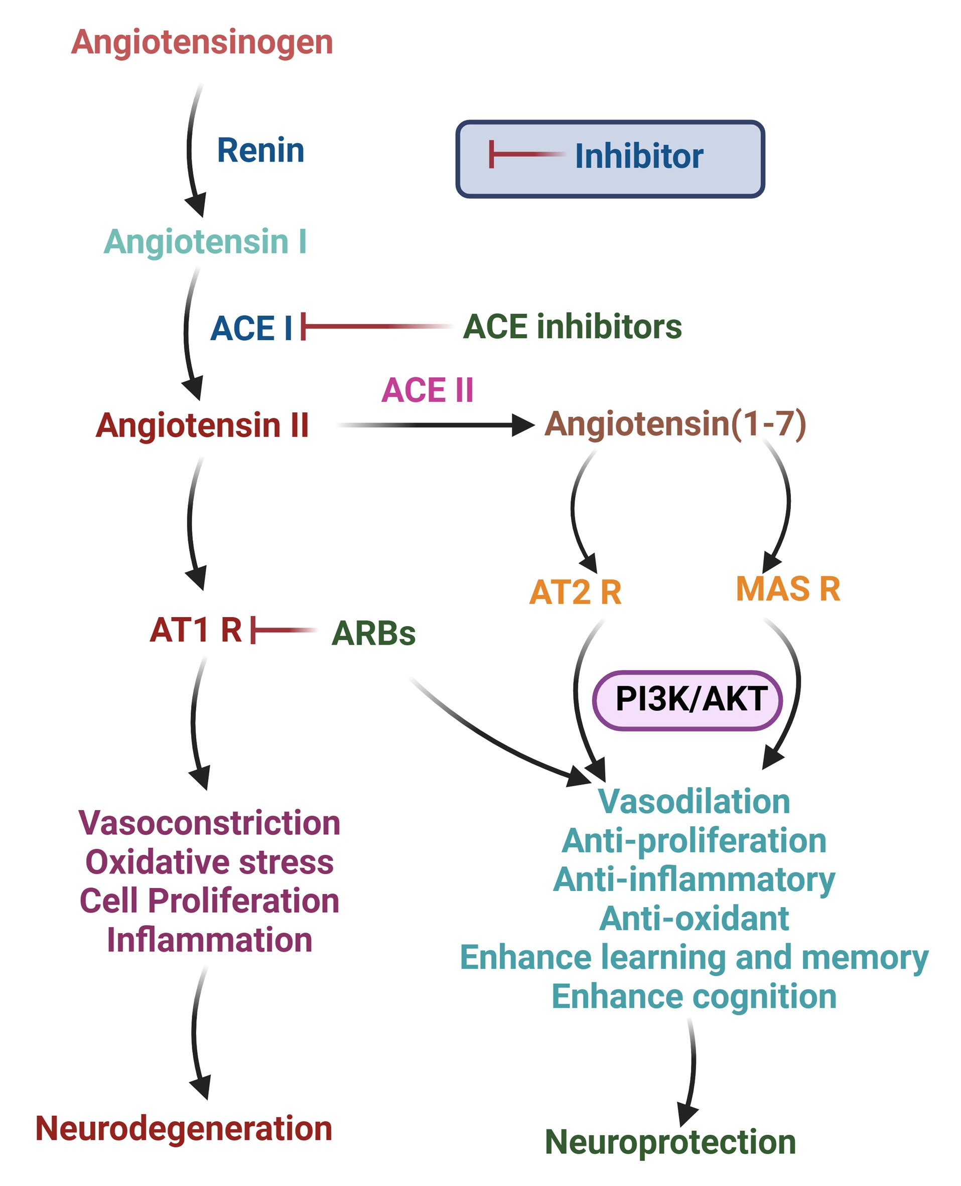 Graphical Abstract