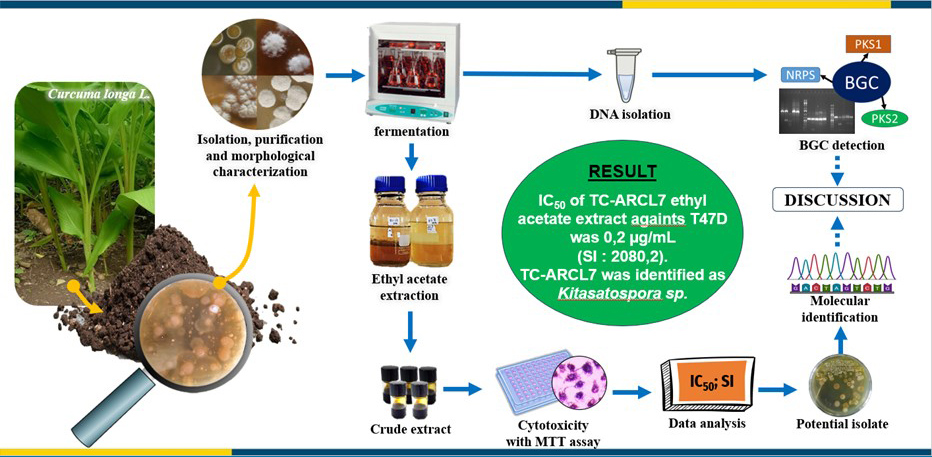Graphical Abstract