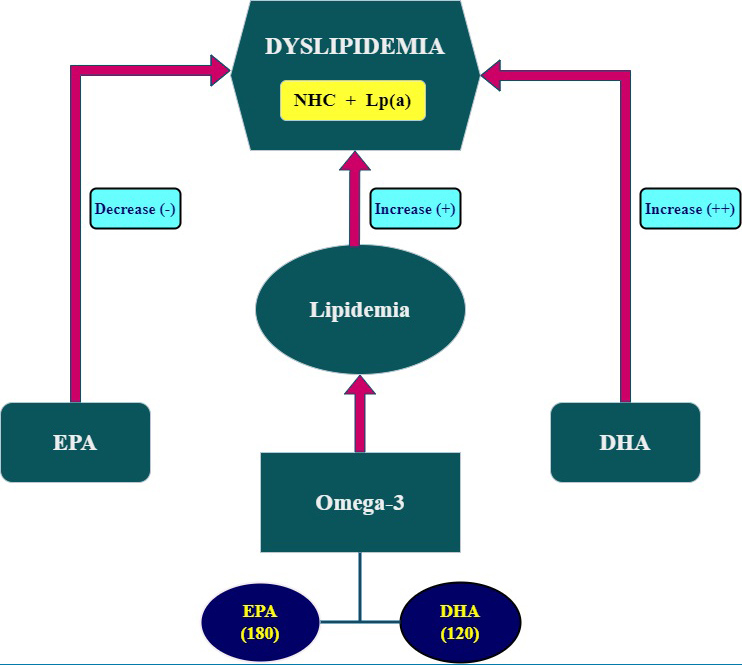 Graphical Abstract