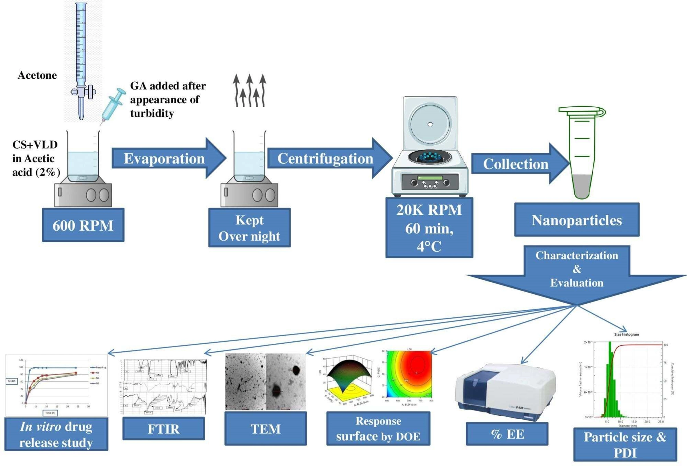 Graphical Abstract