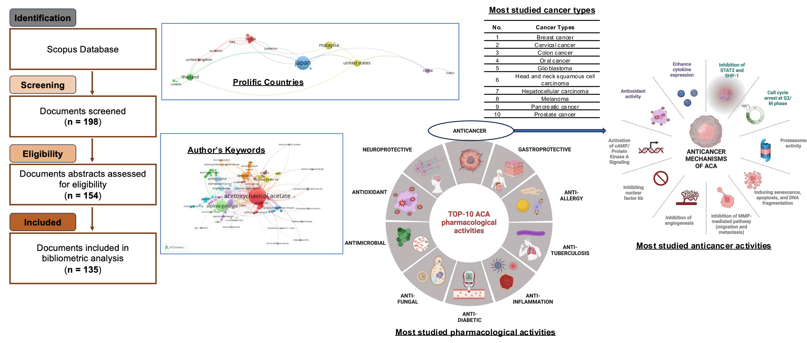 Graphical Abstract