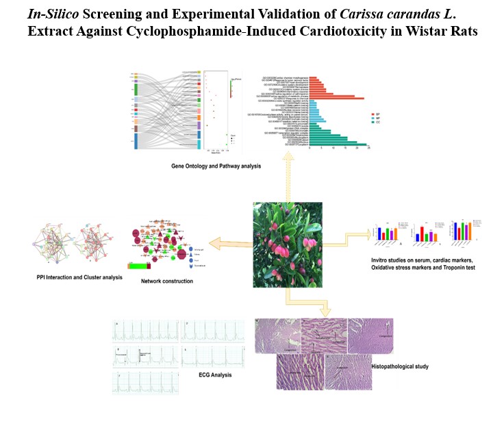 Graphical Abstract