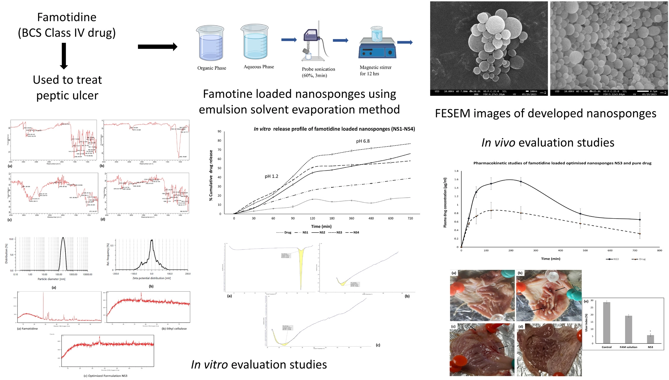 Graphical Abstract