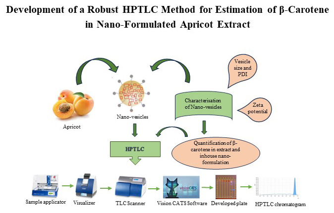Graphical Abstract