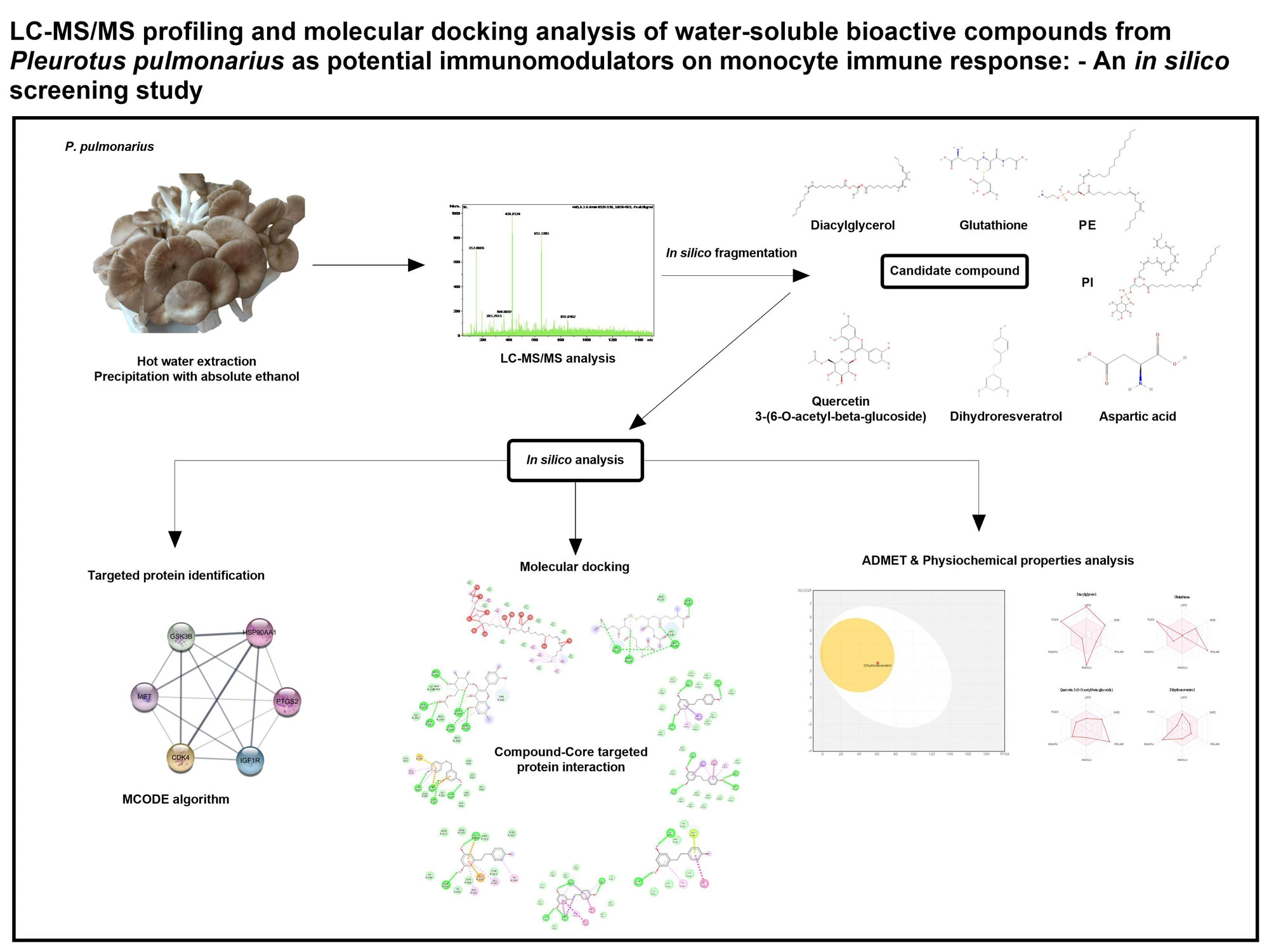Graphical Abstract