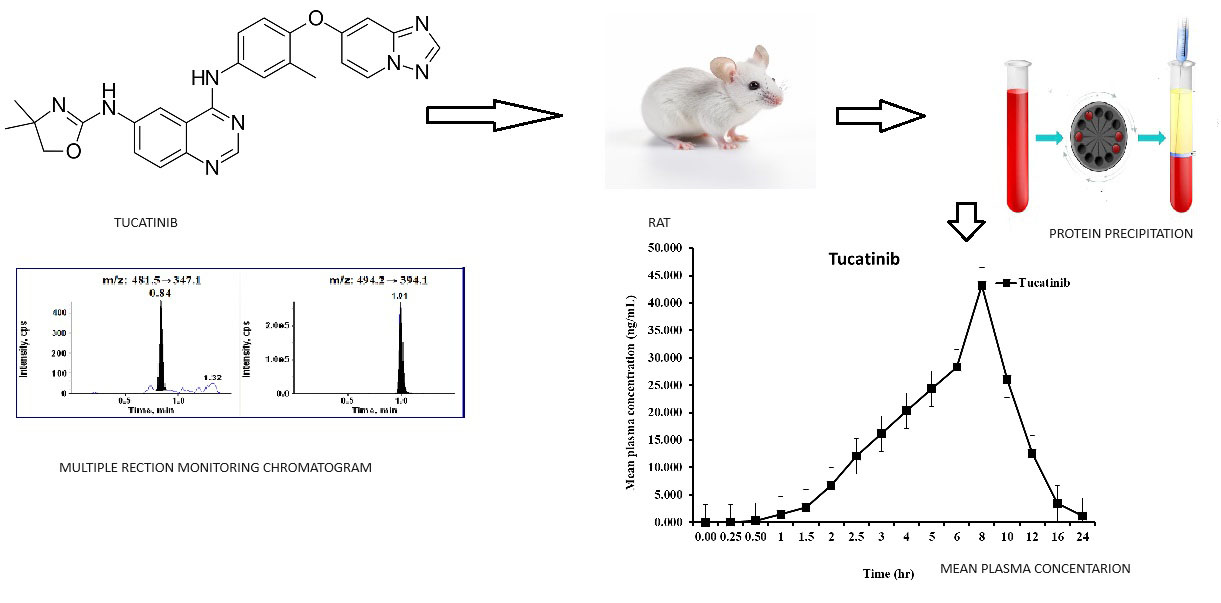 Graphical Abstract