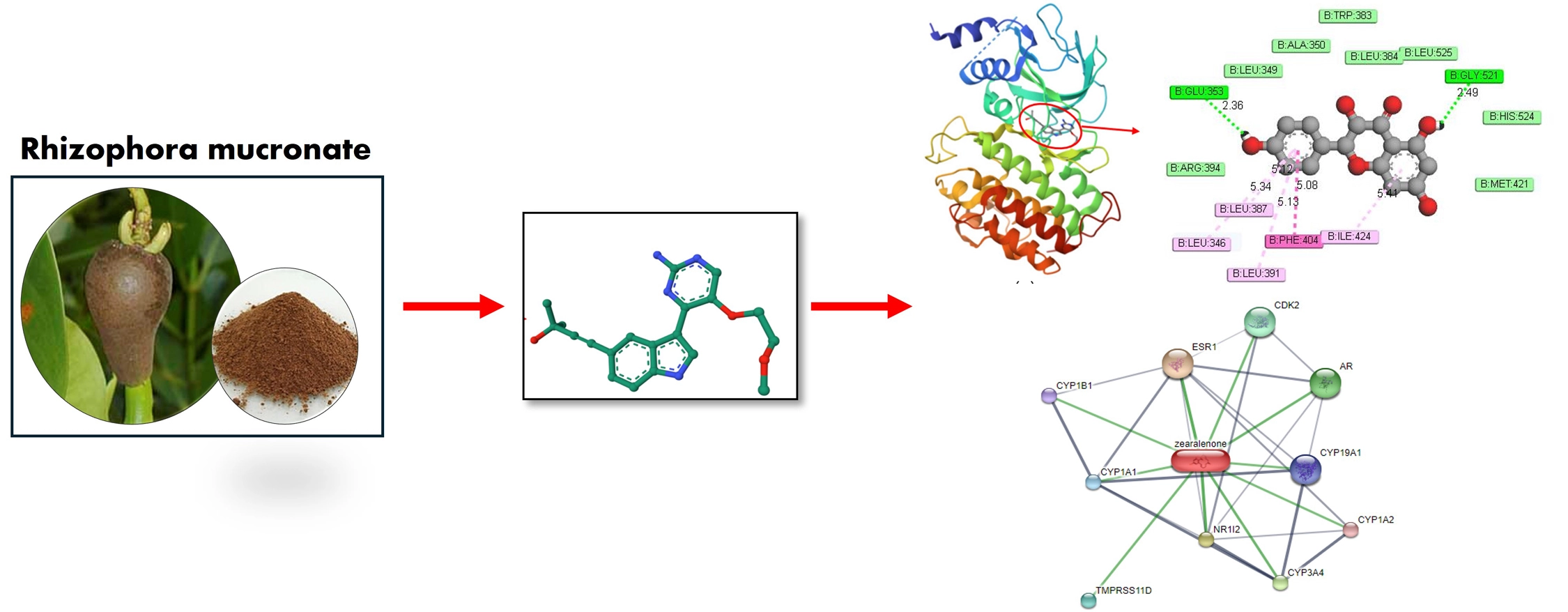 Graphical Abstract