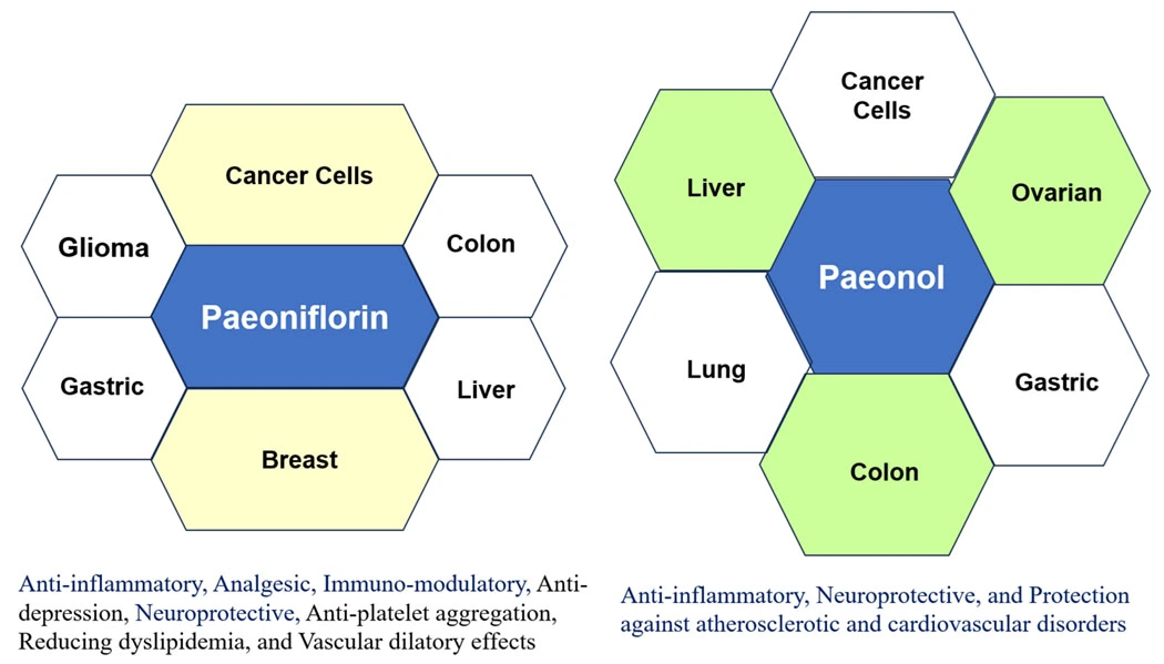 Graphical Abstract