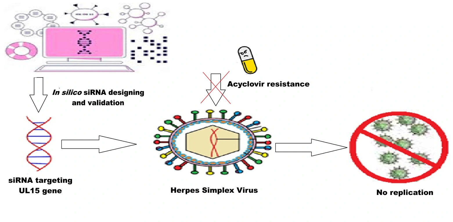 Graphical Abstract