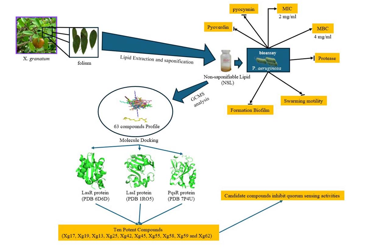 Graphical Abstract