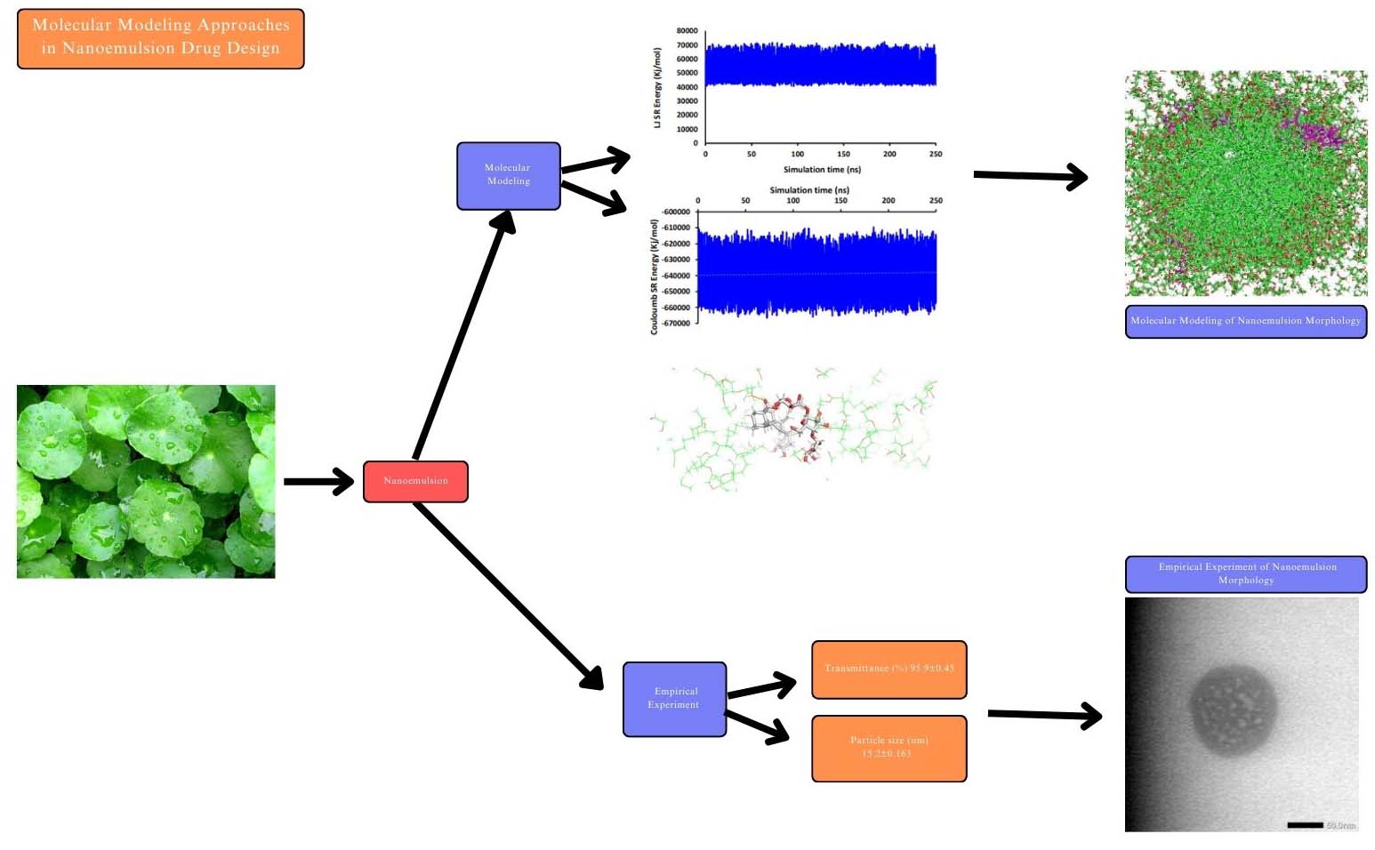 Graphical Abstract