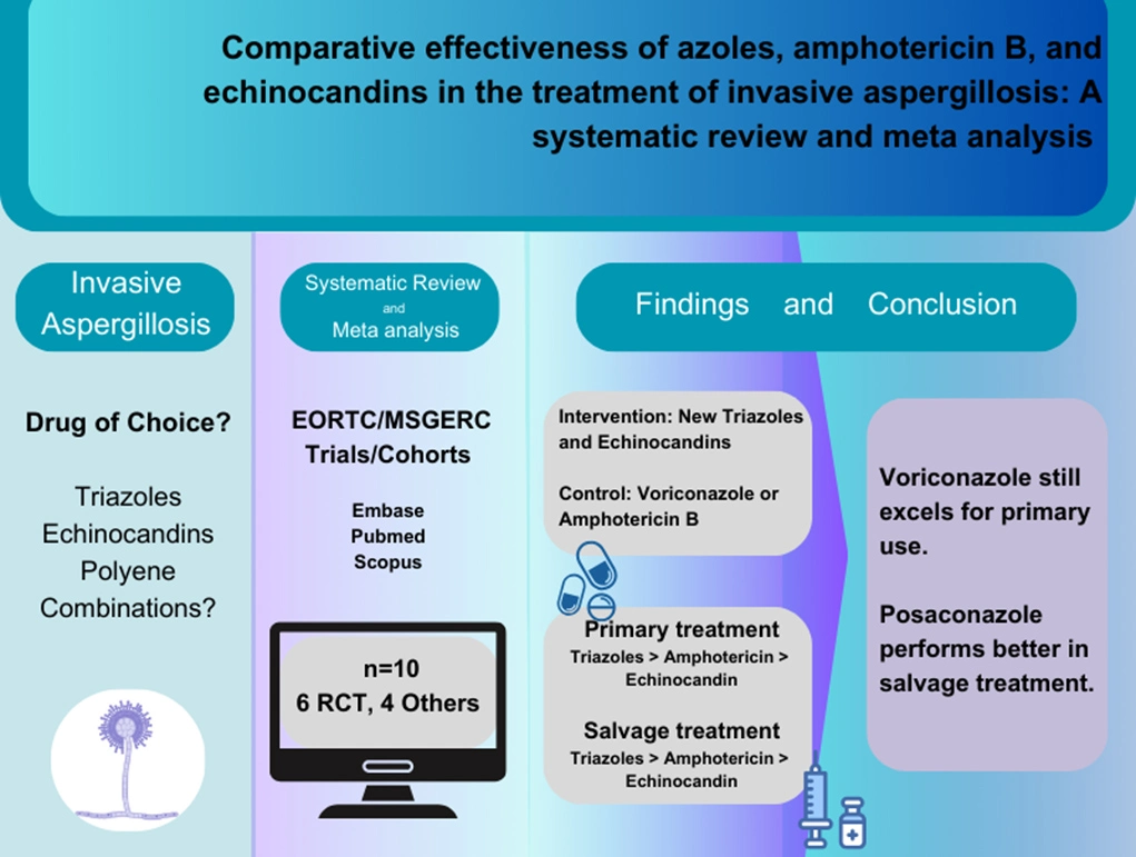 Graphical Abstract
