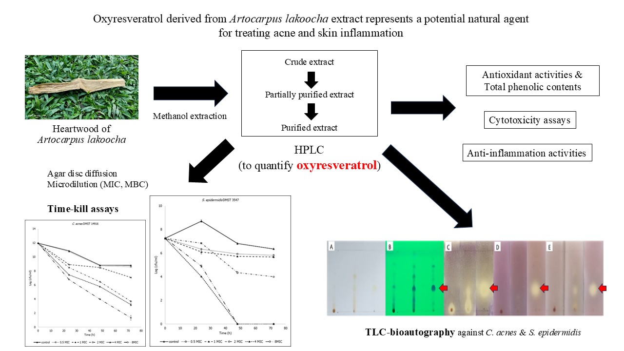 Graphical Abstract