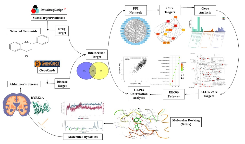 Graphical Abstract