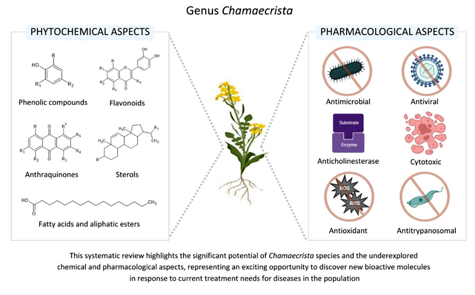 Graphical Abstract