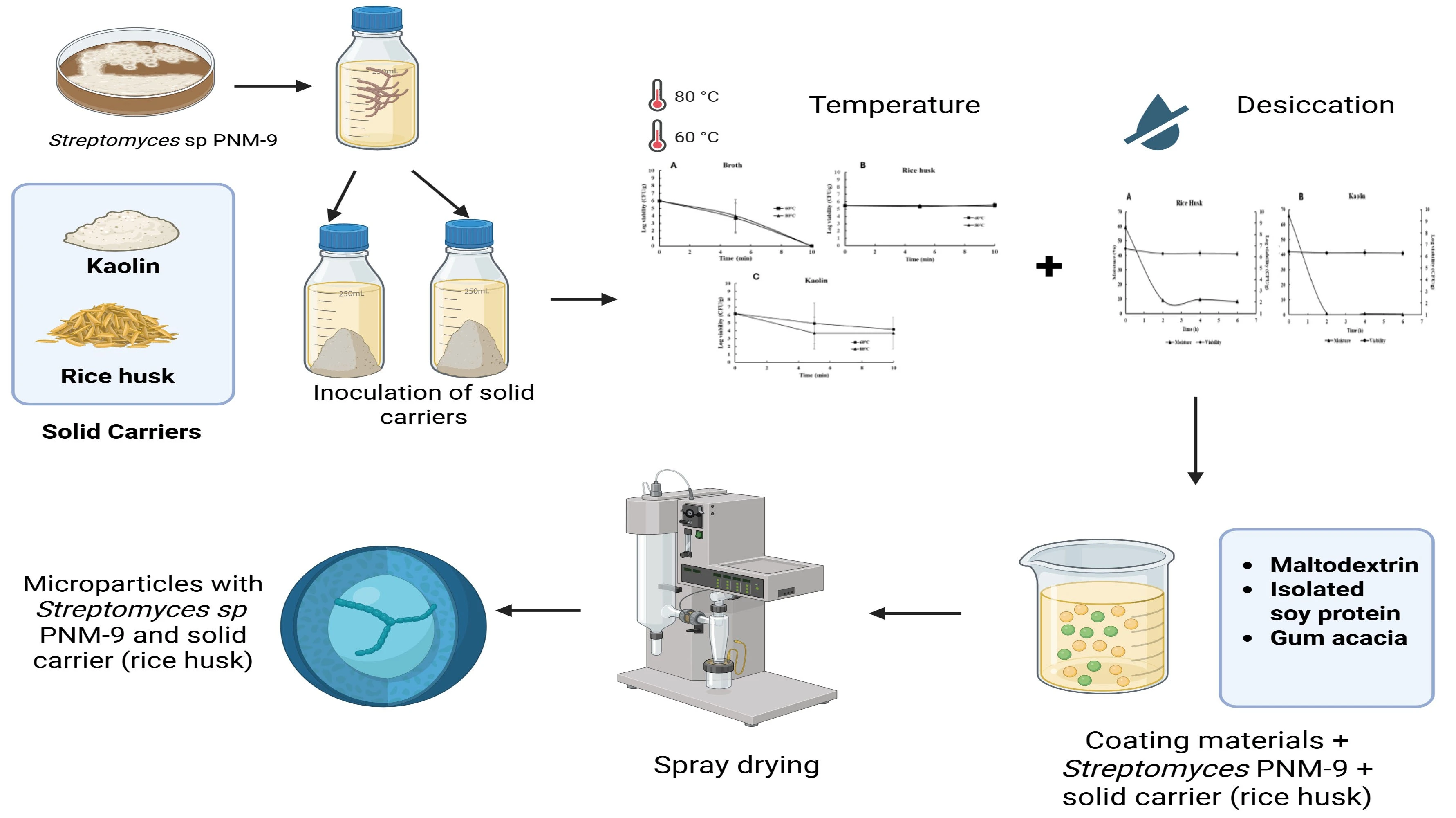 Graphical Abstract
