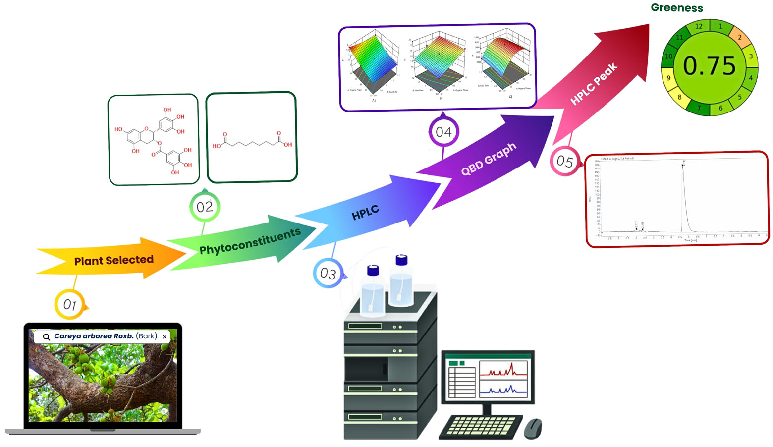 Graphical Abstract