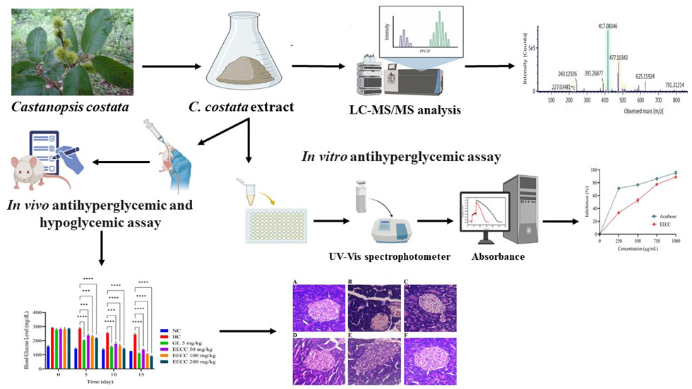 Graphical Abstract