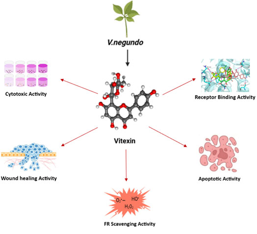 Graphical Abstract
