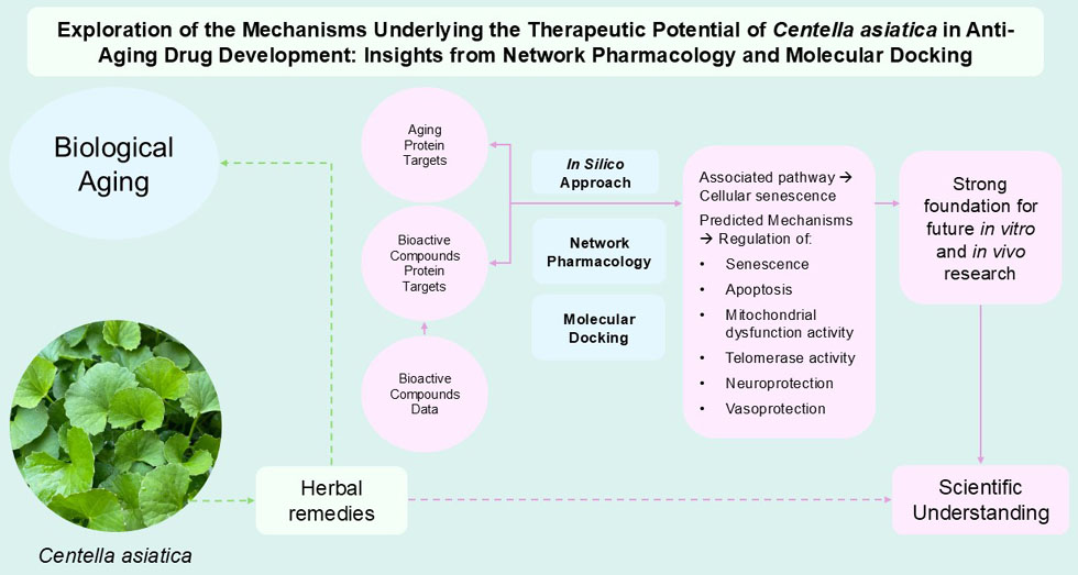 Graphical Abstract