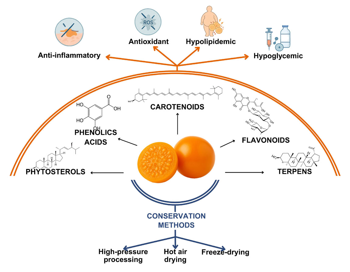 Graphical Abstract