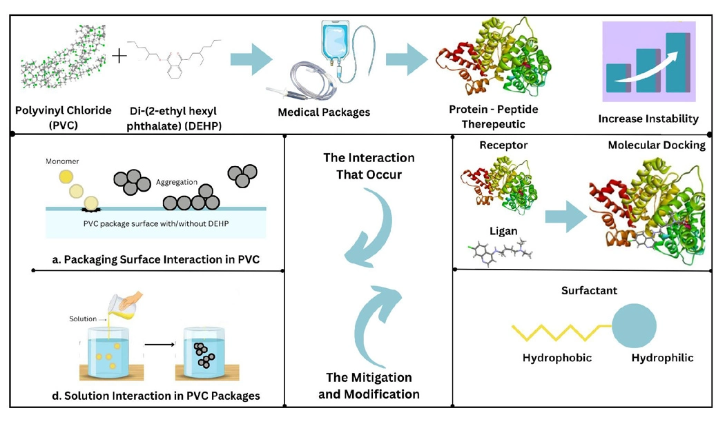 Graphical Abstract