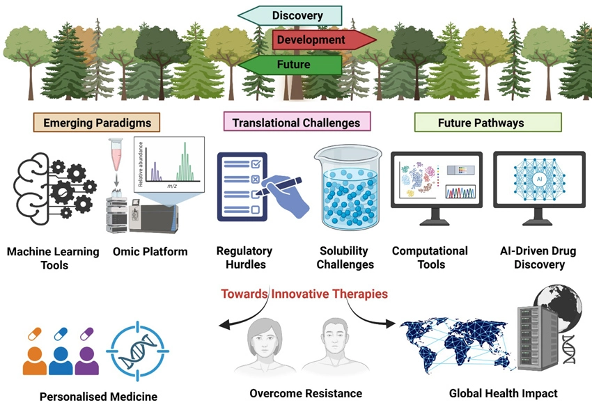 Graphical Abstract