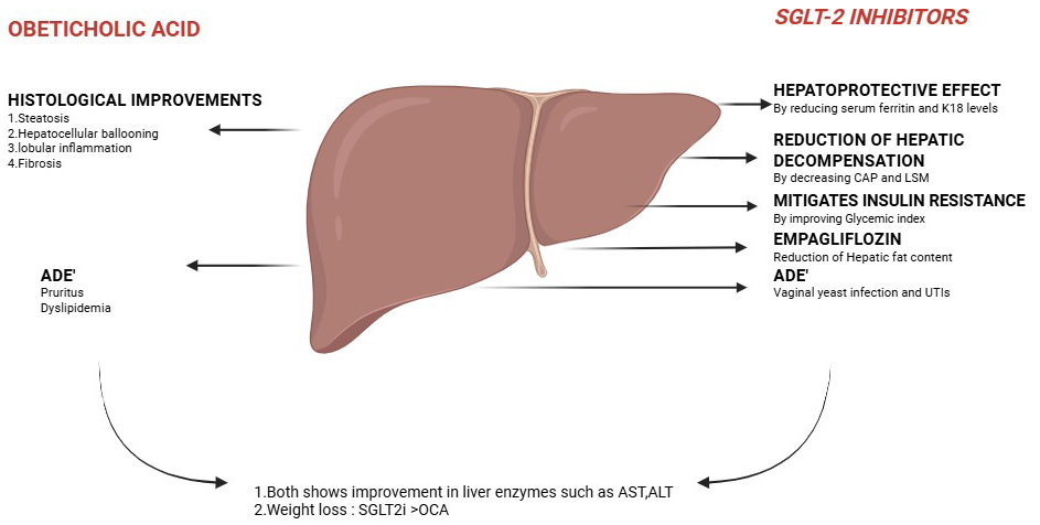 Graphical Abstract