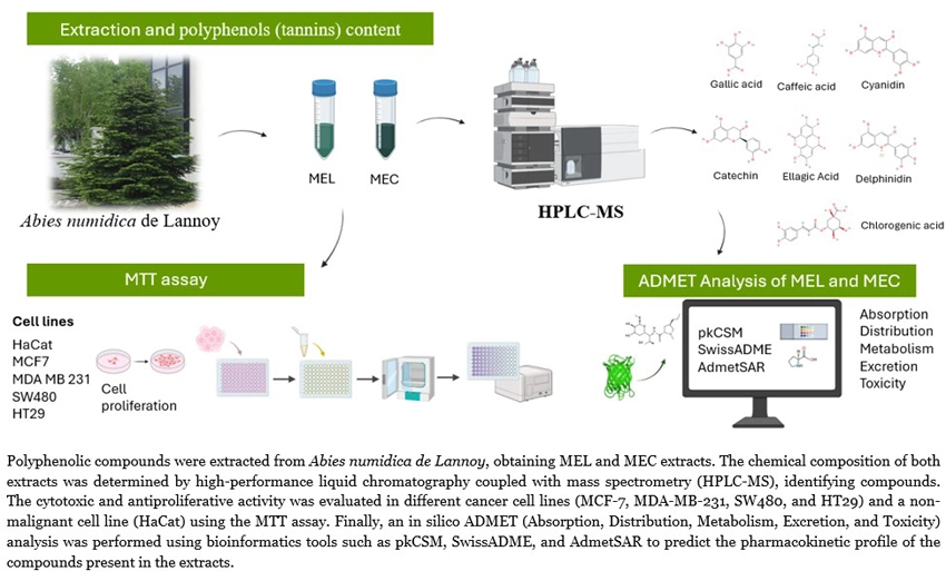 Graphical Abstract