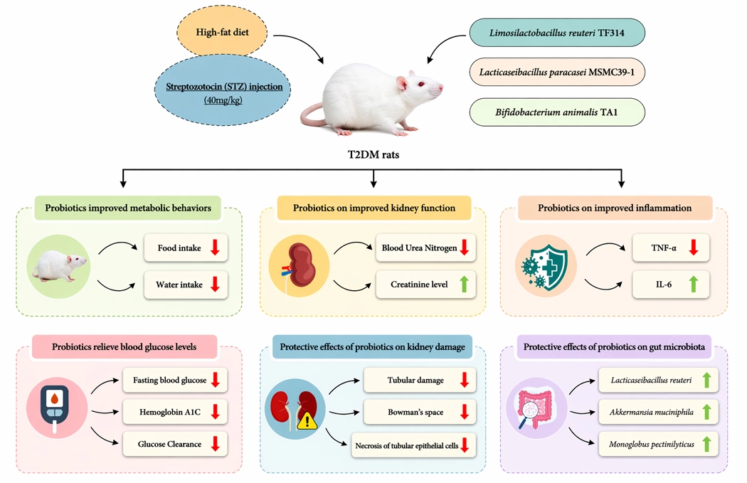 Graphical Abstract