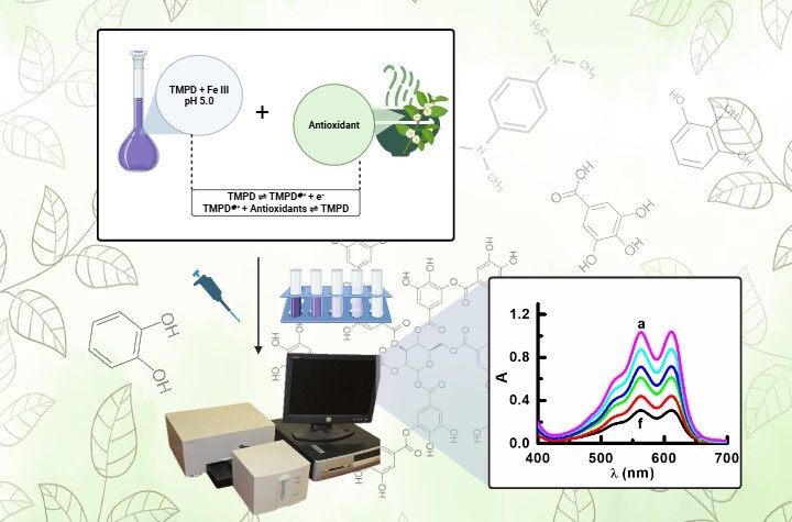 Graphical Abstract