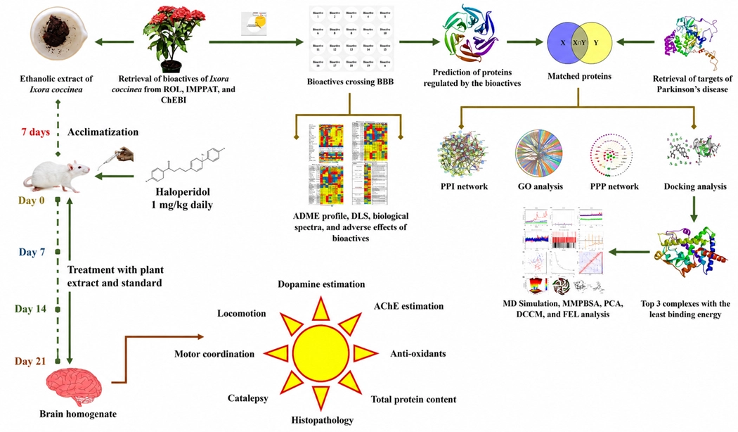 Graphical Abstract